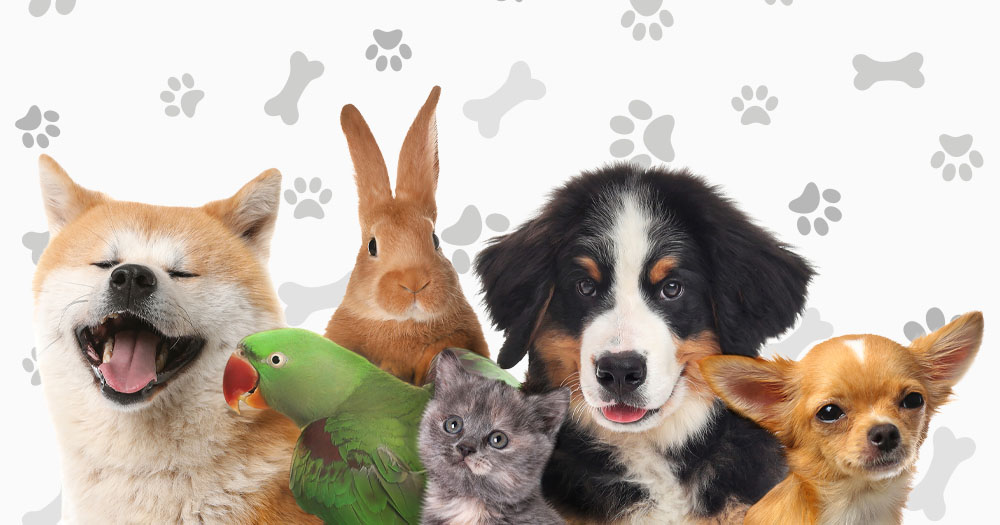 2026 Love Your Pet Day Giveaway Image